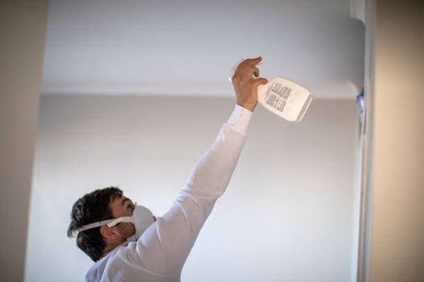 Best Mold Removal Near Me  in Lake Hamilton, AR