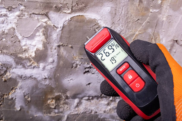 Best Crawl Space Mold Removal  in Lake Hamilton, AR