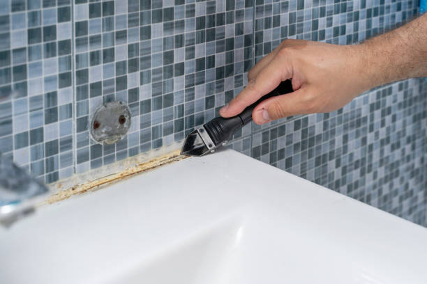 Office Mold Removal Services in Lake Hamilton, AR
